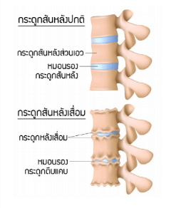 nk240761022