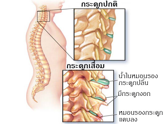 nk240761043